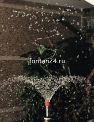 Hibiscus 3/4" Hibiscus 3/4"